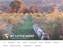 Tablet Screenshot of mylittlesheep.com